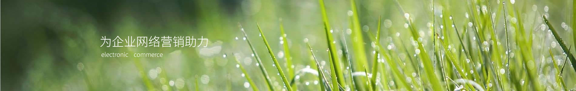 пľҵ޹˾